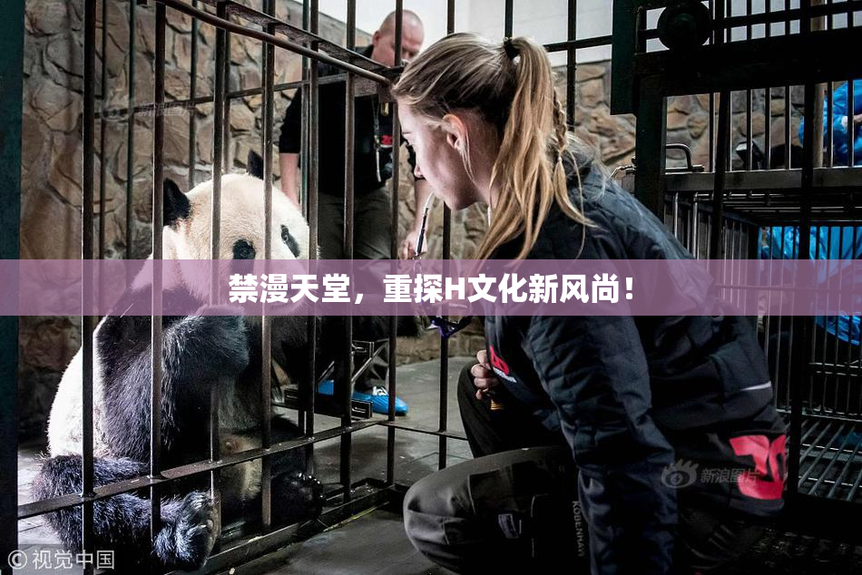 禁漫天堂，重探H文化新风尚！