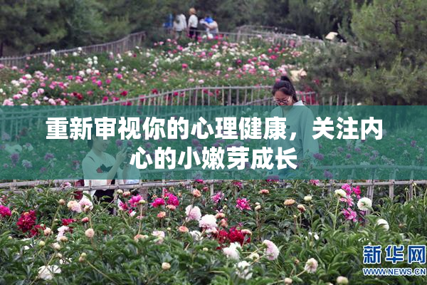 重新审视你的心理健康，关注内心的小嫩芽成长