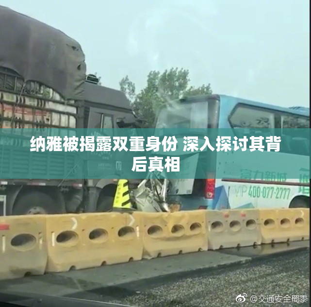 纳雅被揭露双重身份 深入探讨其背后真相