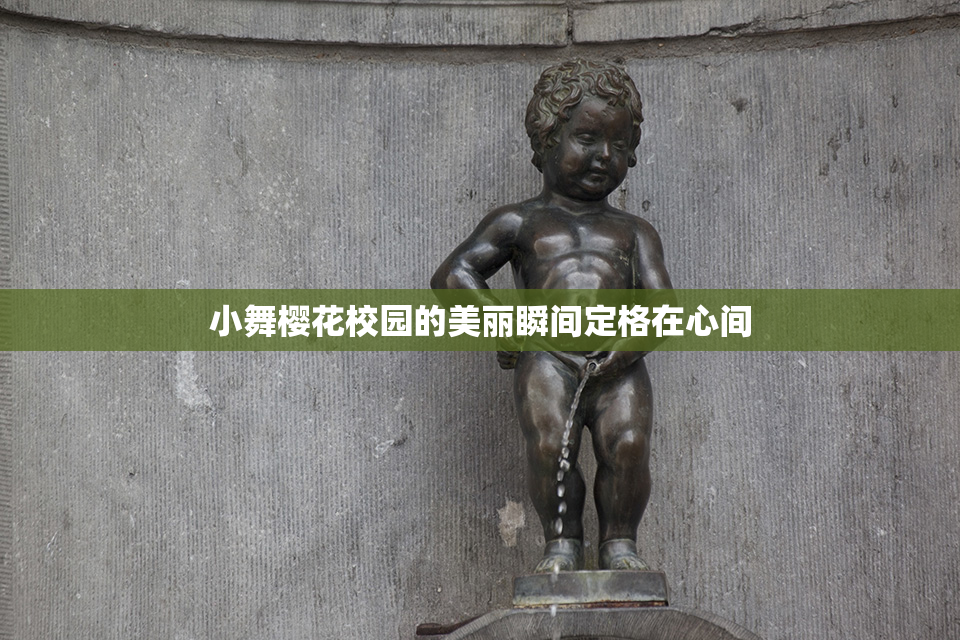 小舞樱花校园的美丽瞬间定格在心间