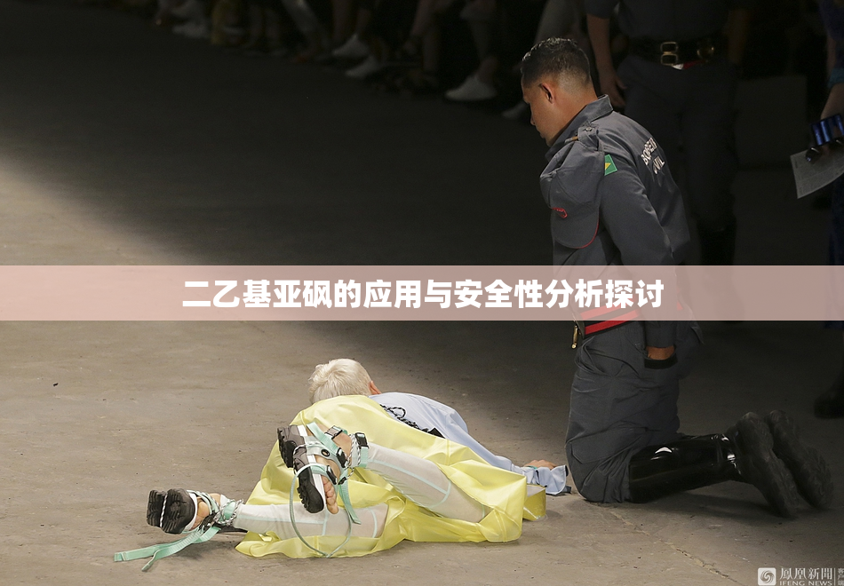 二乙基亚砜的应用与安全性分析探讨