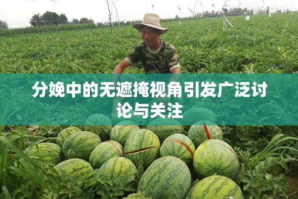 分娩中的无遮掩视角引发广泛讨论与关注