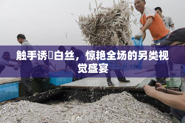 触手诱奷白丝，惊艳全场的另类视觉盛宴
