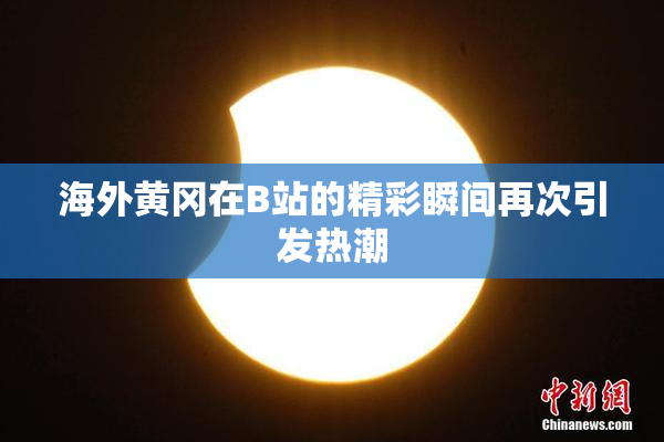 海外黄冈在B站的精彩瞬间再次引发热潮