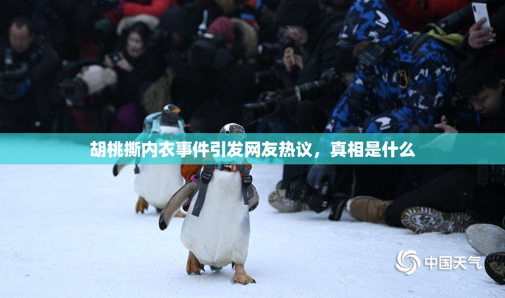 胡桃撕内衣事件引发网友热议，真相是什么