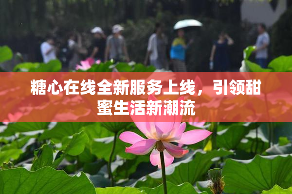糖心在线全新服务上线，引领甜蜜生活新潮流
