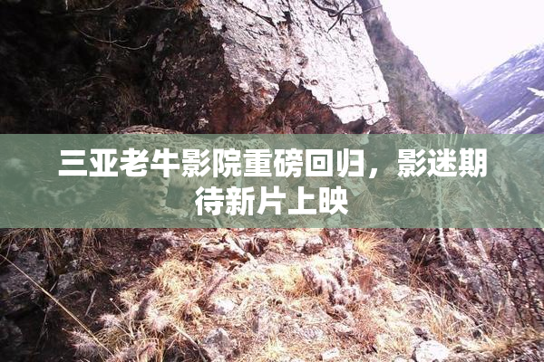 三亚老牛影院重磅回归，影迷期待新片上映