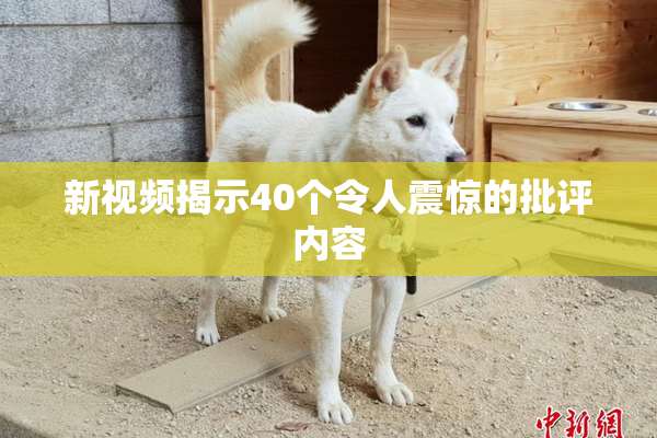 新视频揭示40个令人震惊的批评内容
