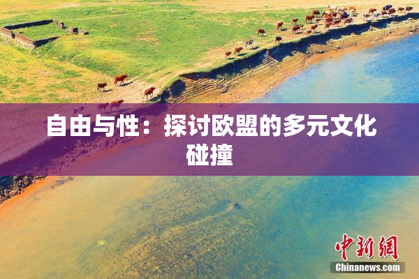 自由与性：探讨欧盟的多元文化碰撞