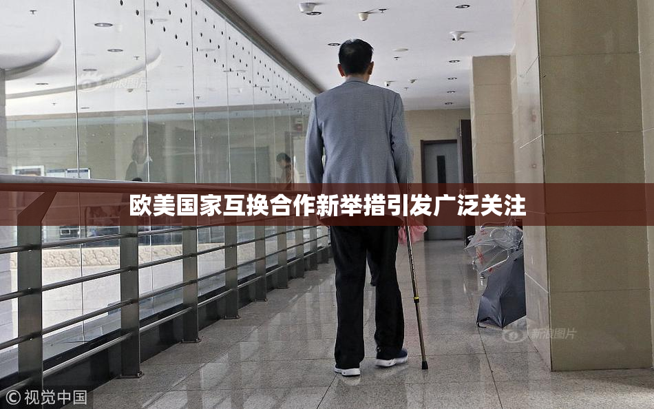 欧美国家互换合作新举措引发广泛关注