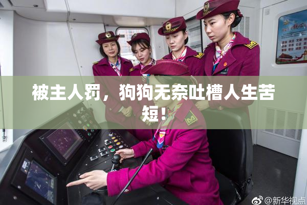 被主人罚，狗狗无奈吐槽人生苦短！