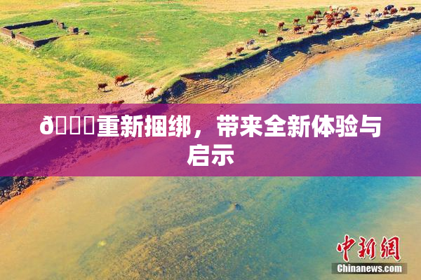 🔞重新捆绑，带来全新体验与启示
