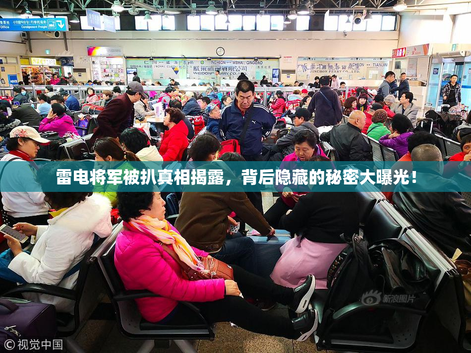 雷电将军被扒真相揭露，背后隐藏的秘密大曝光！