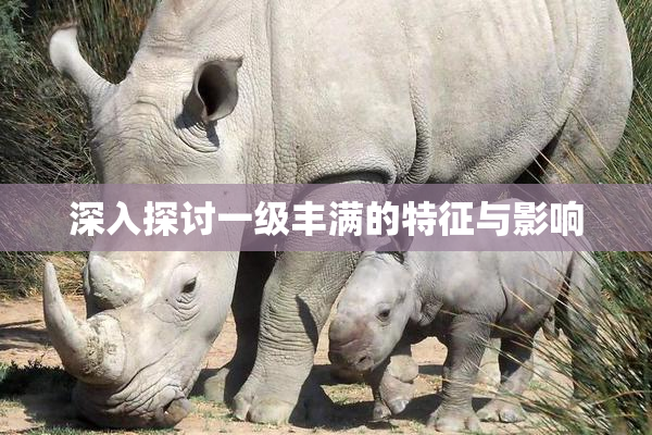 深入探讨一级丰满的特征与影响