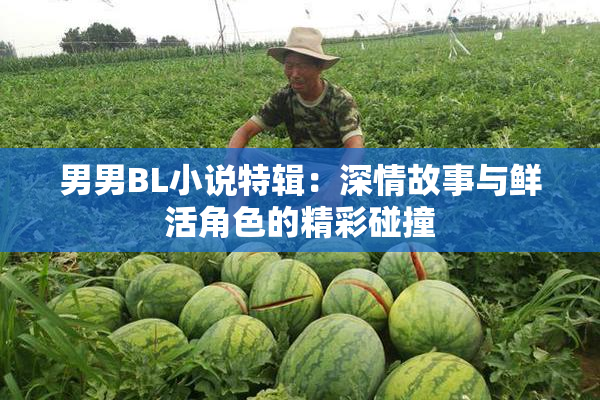 男男BL小说特辑：深情故事与鲜活角色的精彩碰撞