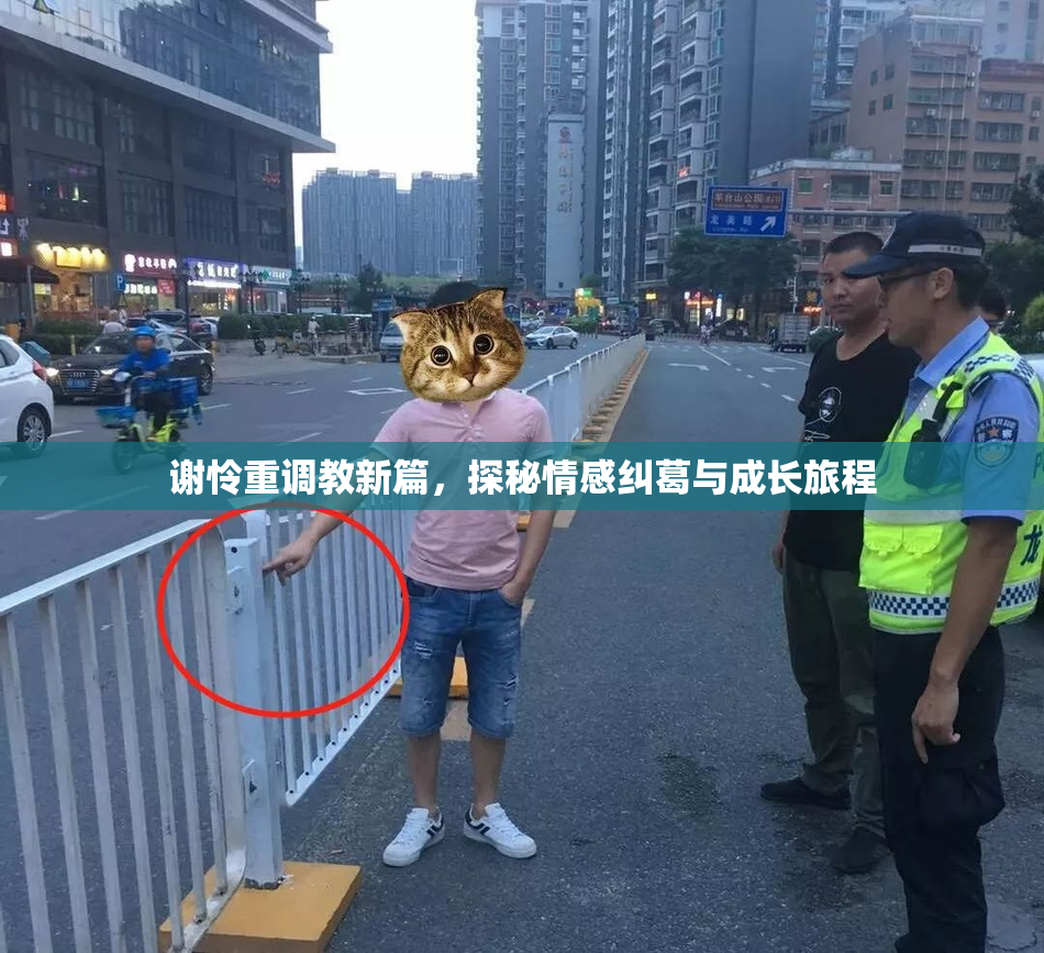 谢怜重调教新篇，探秘情感纠葛与成长旅程