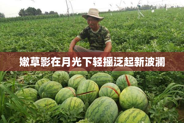 嫩草影在月光下轻摇泛起新波澜