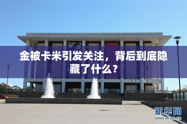 金被卡米引发关注，背后到底隐藏了什么？