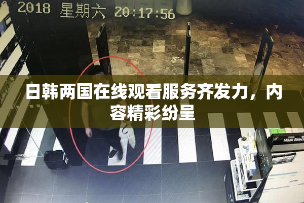 日韩两国在线观看服务齐发力，内容精彩纷呈