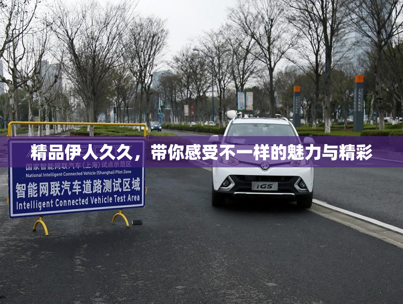 精品伊人久久，带你感受不一样的魅力与精彩