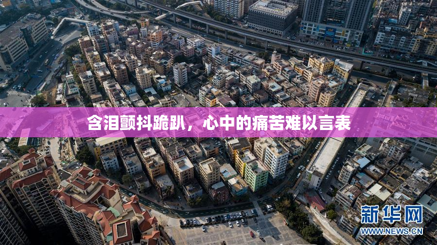 含泪颤抖跪趴，心中的痛苦难以言表