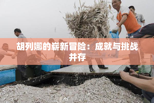 胡列娜的崭新冒险：成就与挑战并存