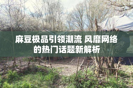 麻豆极品引领潮流 风靡网络的热门话题新解析