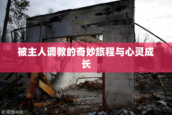 被主人调教的奇妙旅程与心灵成长