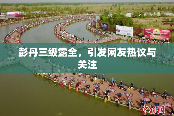 彭丹三级露全，引发网友热议与关注