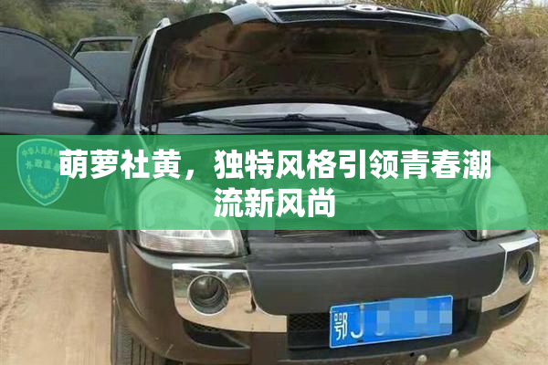 萌萝社黄，独特风格引领青春潮流新风尚