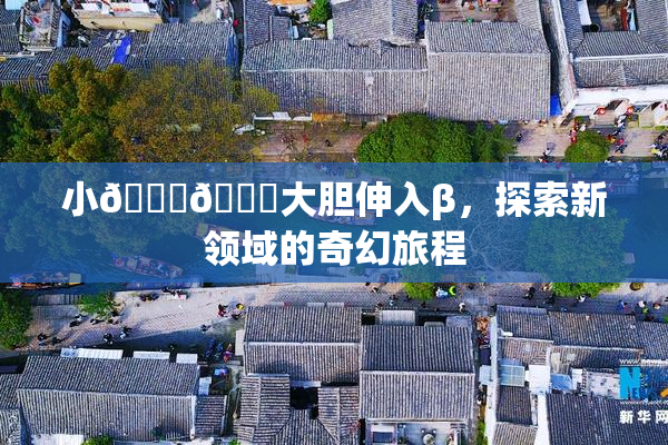小🐔🐔大胆伸入β，探索新领域的奇幻旅程