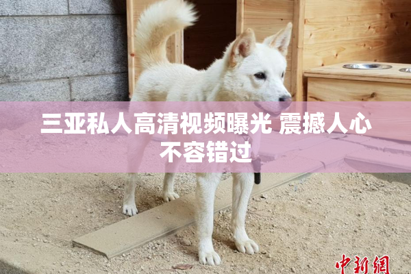 三亚私人高清视频曝光 震撼人心不容错过