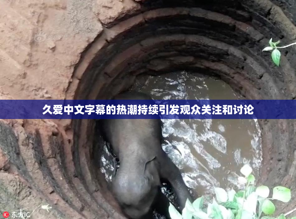 久爱中文字幕的热潮持续引发观众关注和讨论