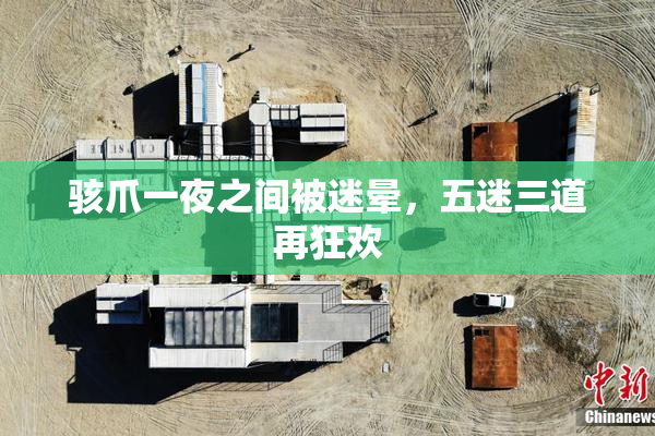 骇爪一夜之间被迷晕，五迷三道再狂欢
