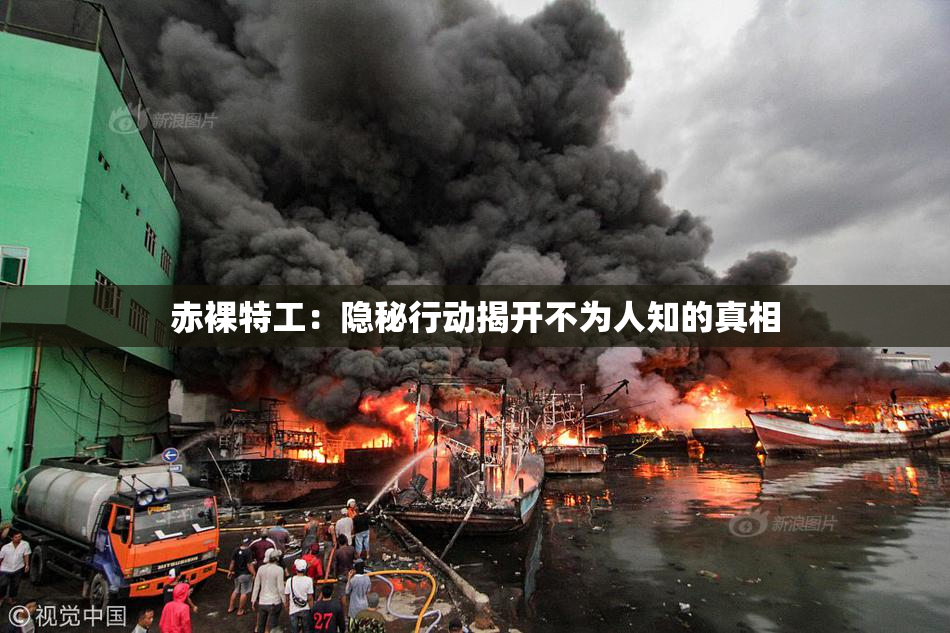 赤裸特工：隐秘行动揭开不为人知的真相