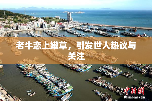老牛恋上嫩草，引发世人热议与关注