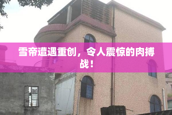 雪帝遭遇重创，令人震惊的肉搏战！