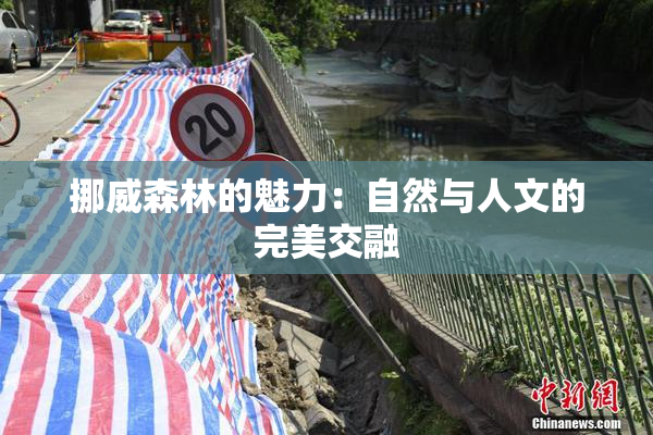 挪威森林的魅力：自然与人文的完美交融