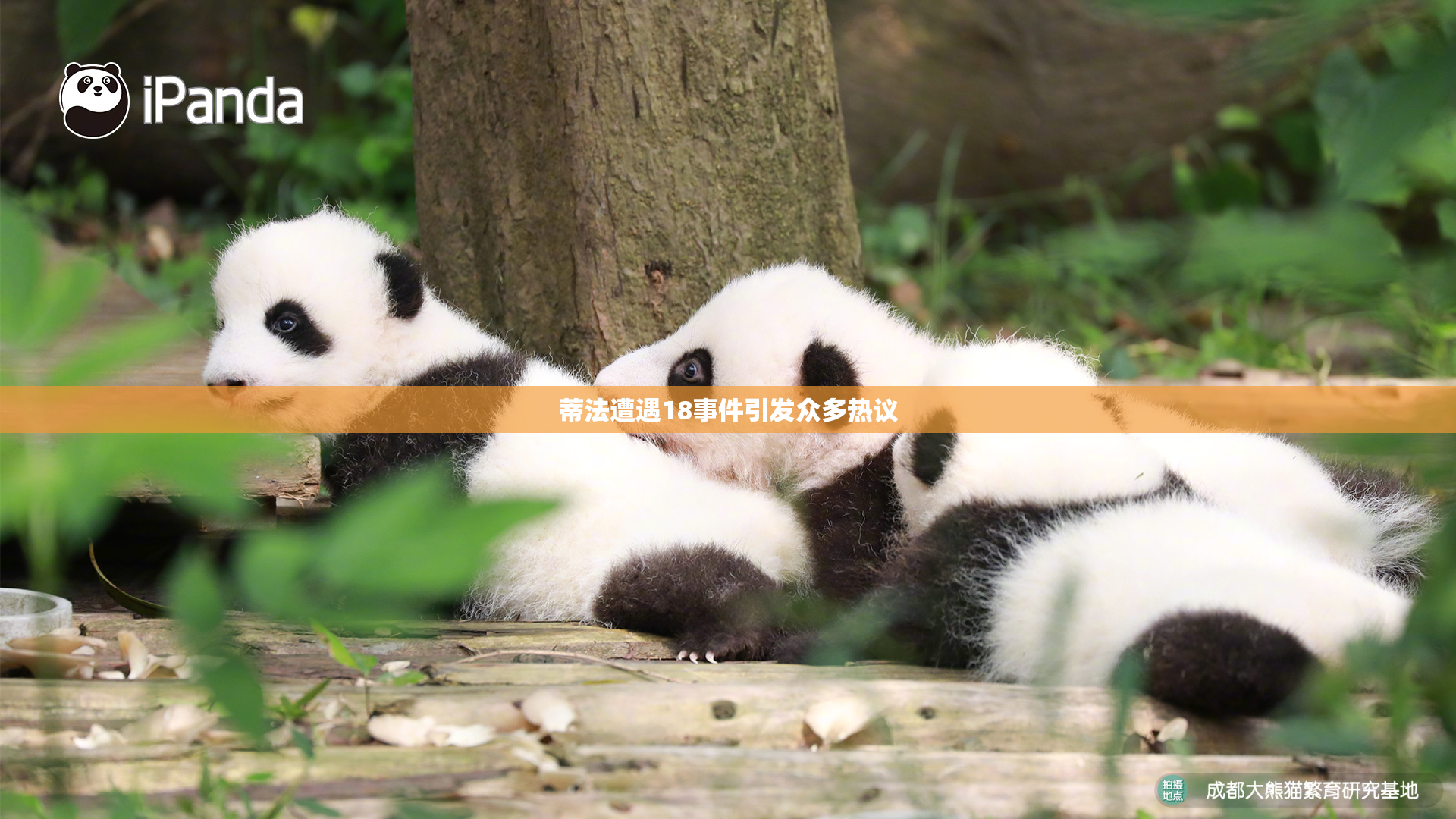 蒂法遭遇18事件引发众多热议