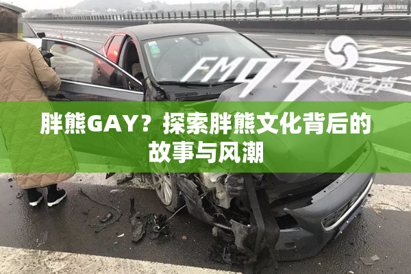 胖熊GAY？探索胖熊文化背后的故事与风潮