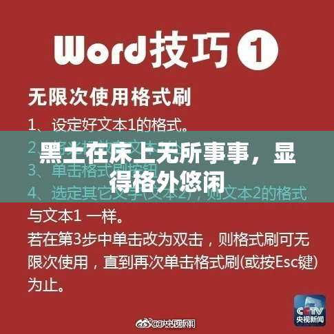 黑土在床上无所事事，显得格外悠闲