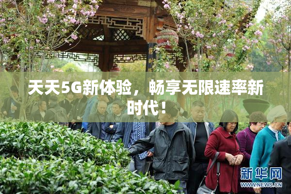 天天5G新体验，畅享无限速率新时代！