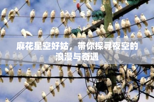 麻花星空好姑，带你探寻夜空的浪漫与奇遇