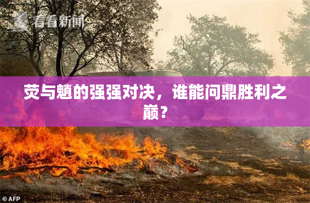 荧与魈的强强对决，谁能问鼎胜利之巅？