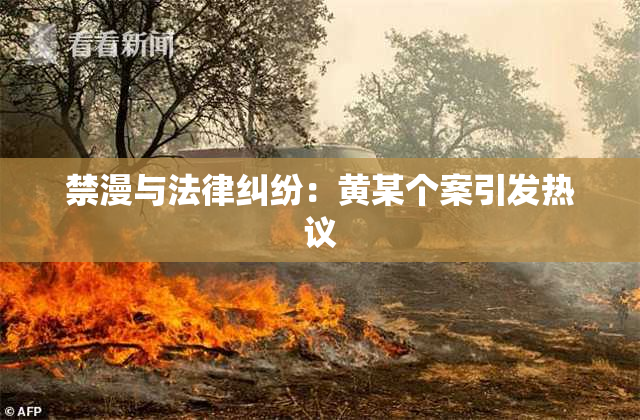 禁漫与法律纠纷：黄某个案引发热议