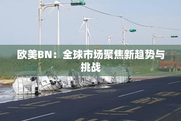 欧美BN：全球市场聚焦新趋势与挑战