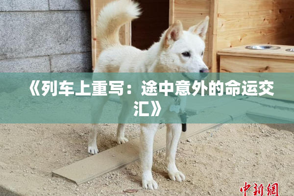 《列车上重写：途中意外的命运交汇》