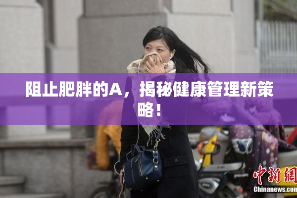 阻止肥胖的A，揭秘健康管理新策略！