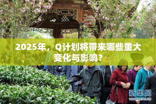 2025年，Q计划将带来哪些重大变化与影响？