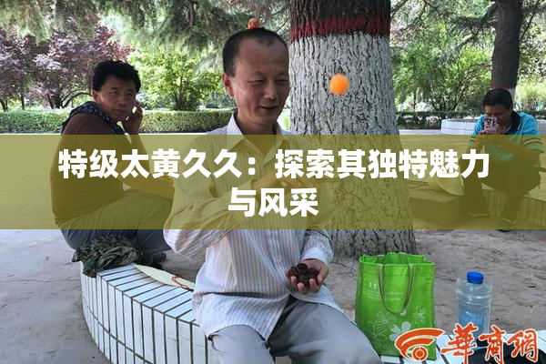 特级太黄久久：探索其独特魅力与风采